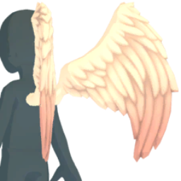 Ailes d'ange